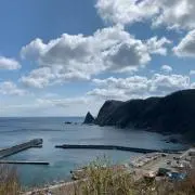 KOHの画像