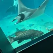 なやの画像