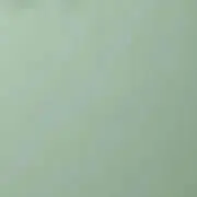 mintの画像