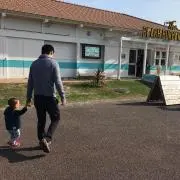 さくらの画像