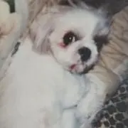 とし