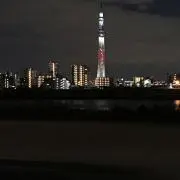 ＹOの画像