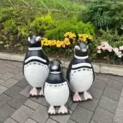 みなとの画像