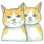 値下不可】夢色パティシエール スイーツデコカード デラックス