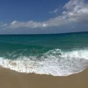 wajikenの画像