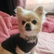 ユキりんの画像