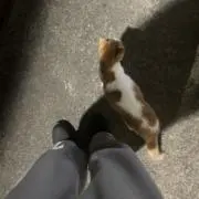 micchi07