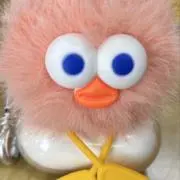 hhの画像