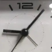 木陰の画像