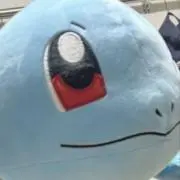 ぜにの画像