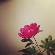 so