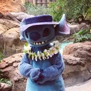 hiloの画像