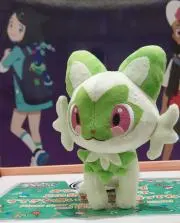 ニシキの画像