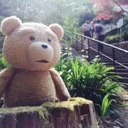 Tedの画像