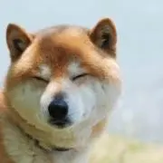 さくらもちの画像