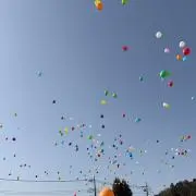 やまの画像