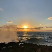 まきともの画像