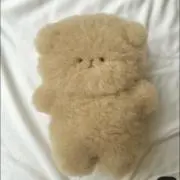 mofuuの画像