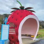 nanaの画像