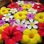 meguchi☆の画像