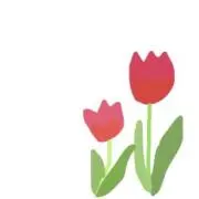 Maoの画像