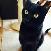 あや♫
