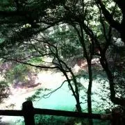 あさひママの画像