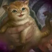 Pの画像