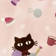 豆ちゃんの画像