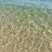 さっこの画像