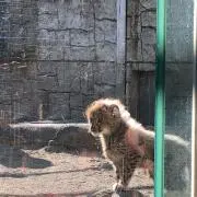 ざっくさんの画像