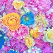 えま_即日発送の画像
