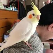 さっちゃん 只今　ヘルニア併発中☆☆☆の画像