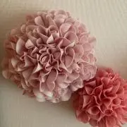 もこきちの画像