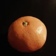 KANYOの画像