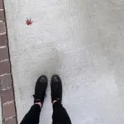 いちぴーの画像