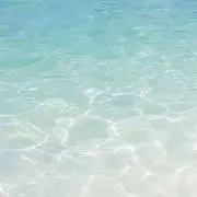 KONATHUの画像