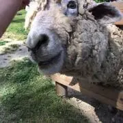 ひろん◡̈の画像