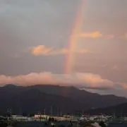 ぽぽさんの画像
