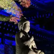 こんの画像