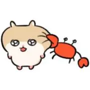 chihiroの画像