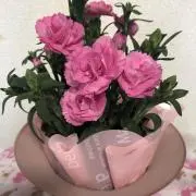 ひのまま