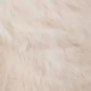 nyの画像