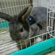 ChuN*°