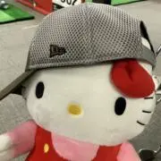 かぽっちの画像