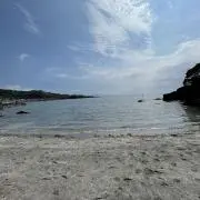 yossiの画像