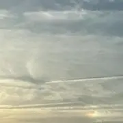 むぎの画像