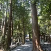 tkの画像