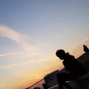 た