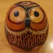 ちゃこの画像